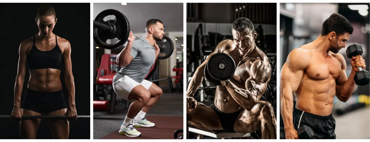 Corsi Istruttore Body Building e Sala Pesi con Diploma eps CONI NonSoloFitness — Diploma EPS CONI