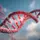 Corso Online Operatore Fitgenetica - allenamento e nutrizione per il DNA